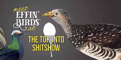 Effin\u2019 Birds at the Toronto ShitShow