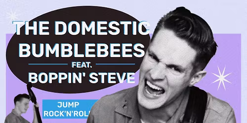 Domestic Bumblebees feat.Boppin Steve ( Swe)+ DJ\u2019s 