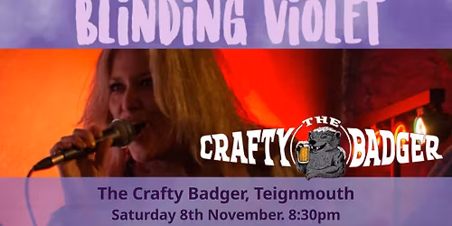 The Crafty Badger, Teignmouth