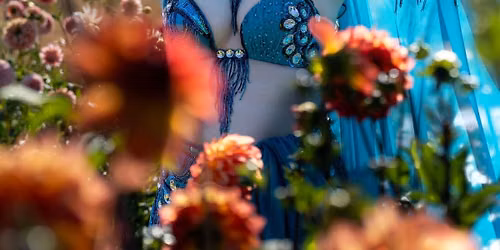 Belly Dance 201 - Stylization and Artistry (7 week section- Modern Egyptian choreography)