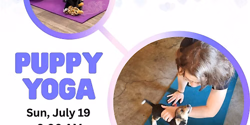 Puppy Yoga at Harpo's with Sarah's Yoga Studio