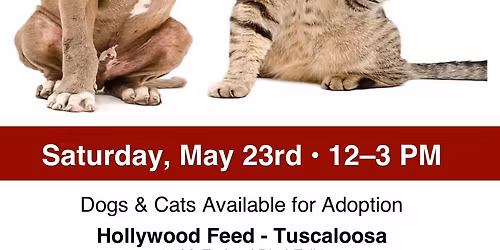 Adoption Event 12-3