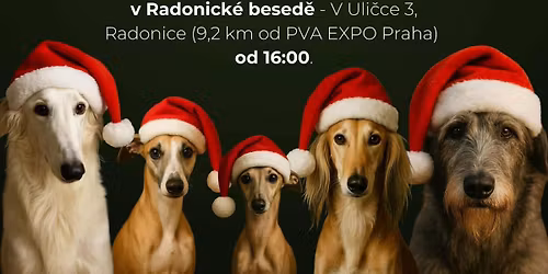 V\u00e1no\u010dn\u00ed ve\u010d\u00edrek KCHCH