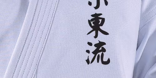 Kyu gradings