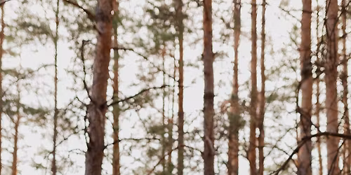 Sam S & Jayson B Wedding Social