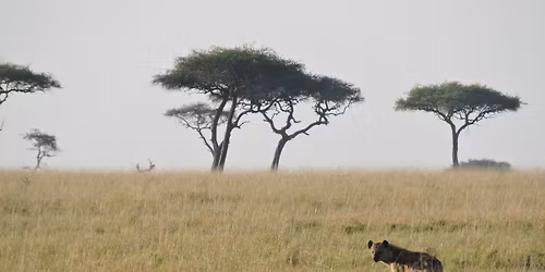 Potopisno predavanje: Kenija