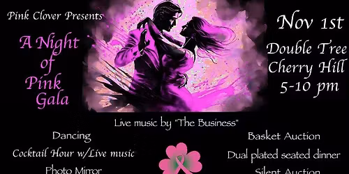 A Night of Pink - Annual Charity Gala