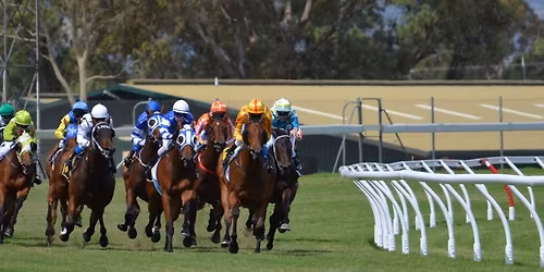 Titans Fastpitch Night at the Races