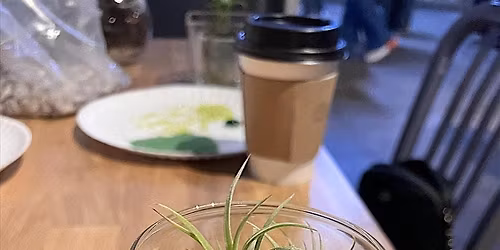 Terrarium building workshop