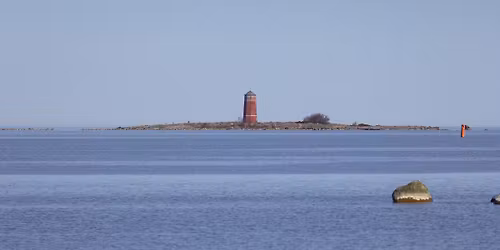 Muutontarkkailua Rihtniemess\u00e4 18.4.