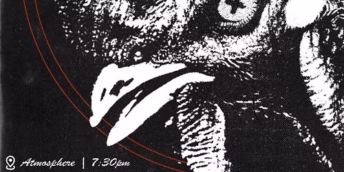 Salford Snow 2025 Chicken Run