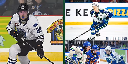 Swift Current Broncos at Wenatchee Wild at Town Toyota Center