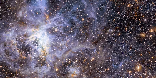 How Do Dark Clouds Forge a Star System?