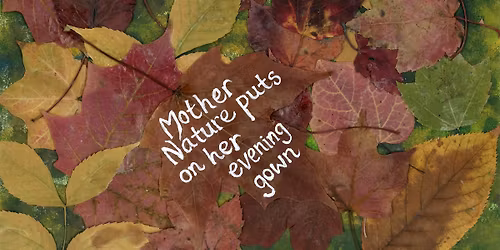 H.E.R.O. Nature Healing Walk