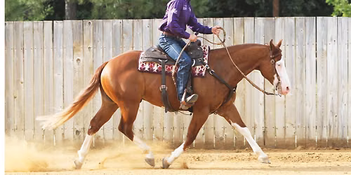 Ranch Riding Practice #2