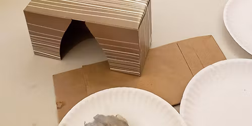 Homeschool at Broad Meadow Brook: Skulls