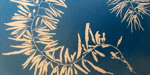 National Marine Week: Seaweed Cyanotype Printing at the Wild Seas Centre