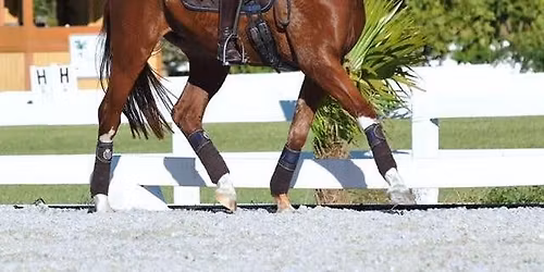 Tracy Masterson Dressage Clinic - December 2025