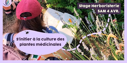 Stage 1 jour : S'initier \u00e0 la culture des plantes m\u00e9dicinales