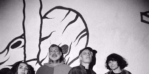 Jeffrey Lewis & the Voltage