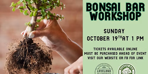 Bonsai Bar Workshop