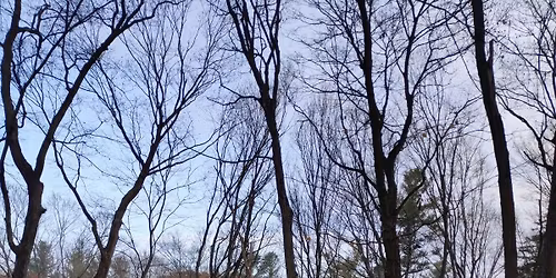 Dundas Valley 12 km+