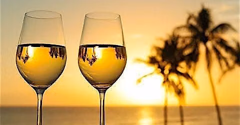 "VINE ON THE SKYLINE" WINE TASTING EXPERIENCE!