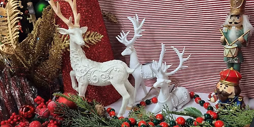 DB'S DESIGN TIPS N' SHOP NIGHT