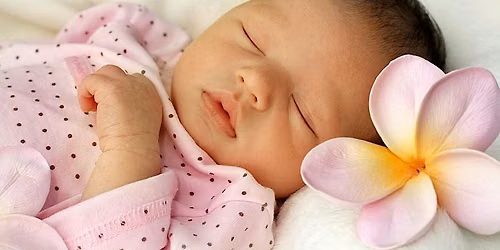 Prenatal with Dr. Joseph Mechak