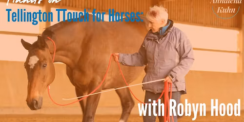 Tellington TTouch for horses: hands-on with Robyn Hood, Somerset, United Kingdom