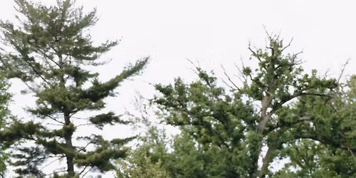 Lindsey the Ladysmith PopUp @ The Perfect Pair