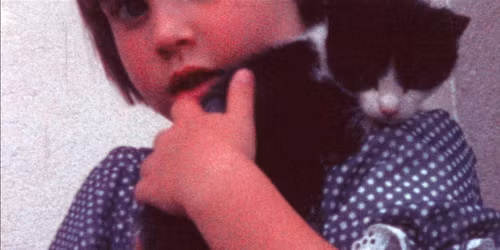 PROJECTION COMMENT\u00c9E : DU COMPAGNON \u00c0 L'ATTRACTION : LES ANIMAUX \u00c0 HAUTEUR D'ENFANT