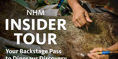 Insider Tour at Natural History Museum of Los Angeles County