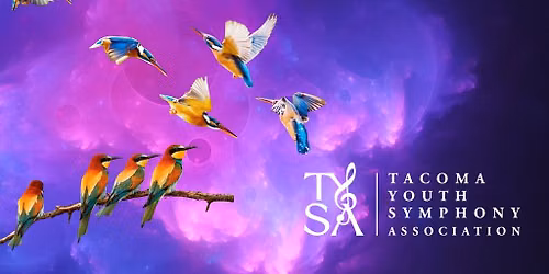 TYSA Presents: Flights of Fancy