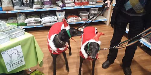 Meet and Greet - Santa Paws Appeal, Pets at Home