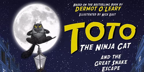 Toto the Ninja Cat