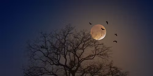 [MIDTOWN] HALLOWE'EN COSTUME HIKE to the CEMETERY & Evergreen Brickworks park (short hike)