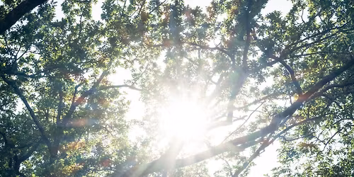 V\u00e5rkonsert f\u00f6r ljus och liv