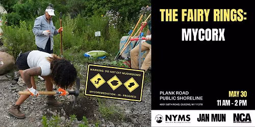 The Fairy Rings | MycoRX at Plank Road
