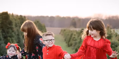 Tree Farm Minis - Kate C Photography