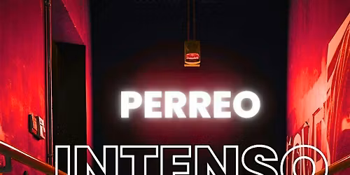 PERREO INTENSO