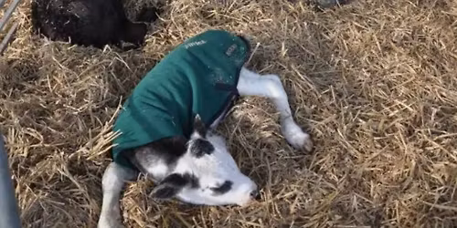 Seaview Vets Farmers Meeting