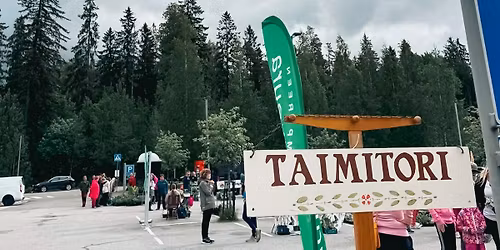 Tampereen Taimip\u00e4iv\u00e4