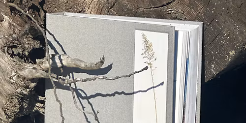 Bardzo Wa\u017cne Ksi\u0105\u017cki Na Ten Czas vol. 3 Spotkanie wok\u00f3\u0142 ksi\u0105\u017cki \u201eBrak lasu\u201d autorstwa Martyny Miller