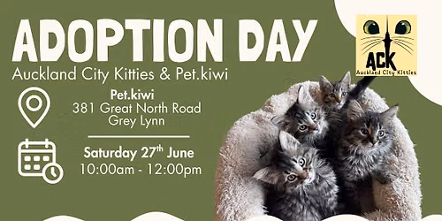 Auckland City Kitties Adoption Day