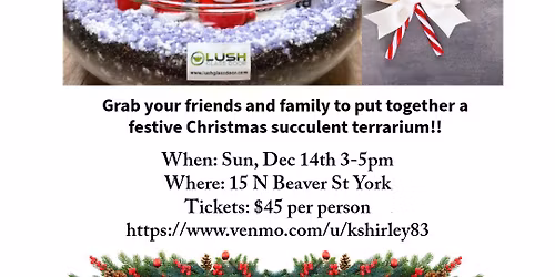Christmas Succulent Terrarium Event