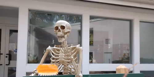 Where's Noble Bones? A Bone Chilling Scavenger Hunt!
