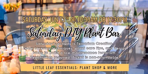 DIY Plant Bar - Terrariums (10:30am or 12:30pm)