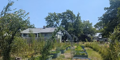 Urban Farm Day @ DeeplyRooted