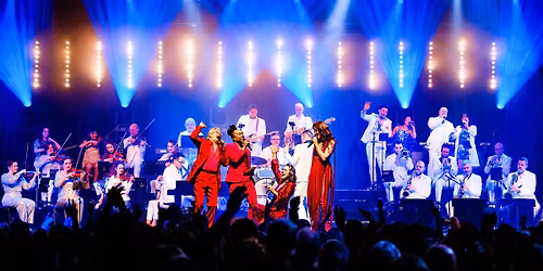 UITVERKOCHT | Discophonic Orchestra | Muziekgieterij